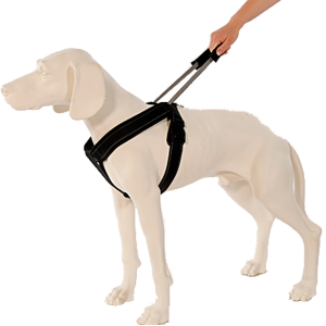 PATENTO SZELKI SPORT CZARNE L 