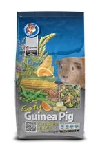 KRUUSE GUERTY GUINEA PIG ORIGINAL 850 G 
