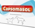 capso.jpg