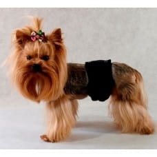 GRANDE FINALE PAMPAS CZARNY ROZMIAR 2 (28 - 40 CM)