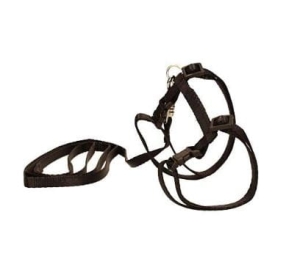 CHABA KOMPLET DLA KOTA SZELKI 22 CM + SMYCZ 123 CM