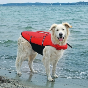 Trixie 3014 Kamizelka ratunkowa dla psa rozm. XL ( pies trening pływanie )