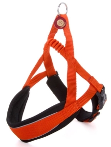 promo JK 41823 SZELKI COMFORT 62 / 70 CM ( pies spacerowanie )