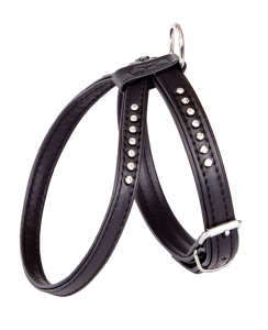 promo DINGO 13125 SZELKI GLAMOUR NR 2 A:27 cm B:40 cm CZARNE ( psy koty )