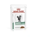 ROYAL-CANIN-Diabetic-saszetka-dla-kota-85g-EAN-GTIN-9003579011980.webp