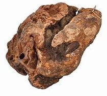 pobierz.jpg