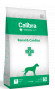 calibra_VD_dog_renal_bg.png