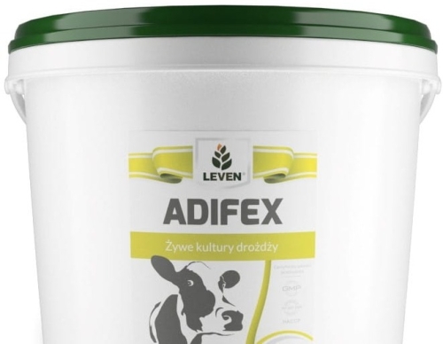 Adifex.jpg