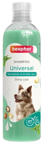 beapharschampouniversal250ml1.jpg