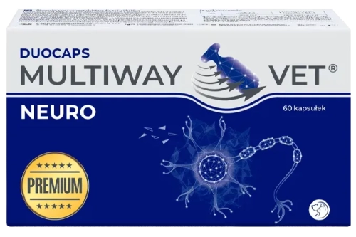 1-MV-NEURO.webp