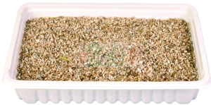 TRIXIE 4235 TRAWA DLA KOTA W POJEMNIKU 100 G ( koty chlorofil trawienie ) 