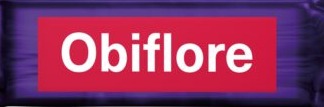 Obiflore_2-482x422.jpg