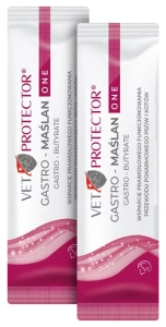 VET PROTECTOR GASTRO - MAŚLAN ONE SASZETKA 3 ML ( pies koty jelita psy pasta ) 