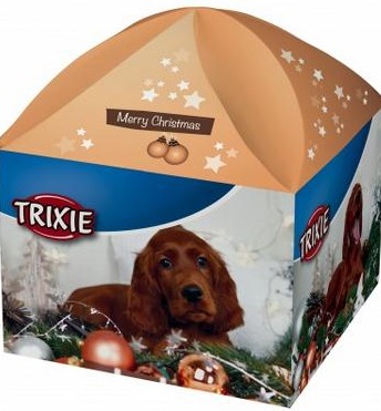 pudło.JPG