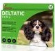 DELTATIC_35cm_copy_0.jpg