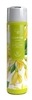 promo OVER ZOO AROMA WASH YLANG-YLANG 250 ML