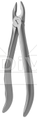 2801102 (1).png