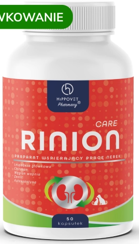 RINION-2026-sklep-NOWY-SKLAD-scaled.png