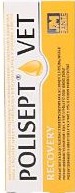 POLISEPT VET RECOVERY 12 ML ( pies koty dożywianie per os pasta psy )