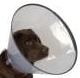 BUSTER COMFORT KOŁNIERZ OCHRONNY ZATRZASKOWY 30 cm ( pies ochrona przed lizaniem psy ) 273486