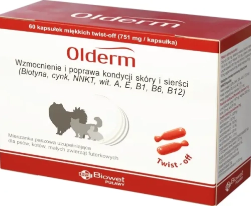Olderm-kartonik.jpg.webp
