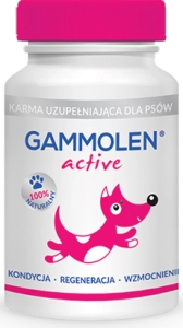 GAMMOLEN ACTIVE 90 TABLETEK ( skóra skin derm omega 3 6 )