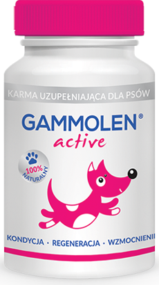 gammolen.png