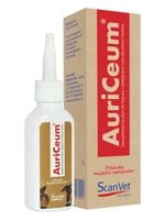 auriceum.jpg