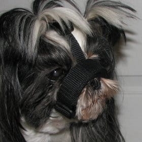 GRANDE FINALE KAGANIEC DLA PSA PEKIŃCZYK ROZMIAR 3