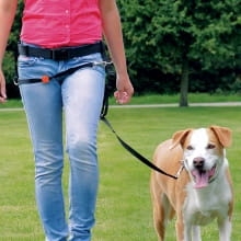 TRIXIE 12760 PAS EASY WALK CZARNY ( psy spacer jogging )