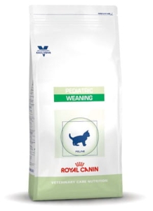 ROYAL CANIN CAT PEDIATRIC WEANING 2 KG