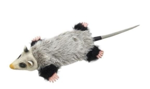 BUSTER HYPER REAL SKINZ OPOS