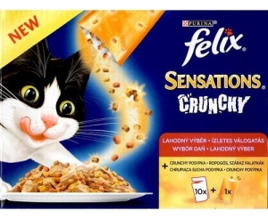 FELIX SASZETKA SENSATIONS 10X100G MIĘSNE DANIA