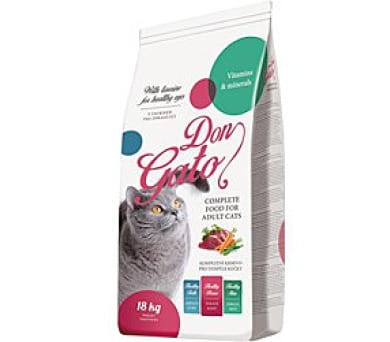 gato.jpg