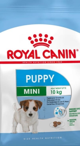 puppy 800.jpg
