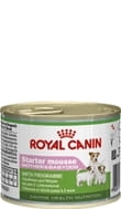 ROYAL CANIN STARTER MOUSSE 195 g ( pies suki laktacja psy dożywianie )
